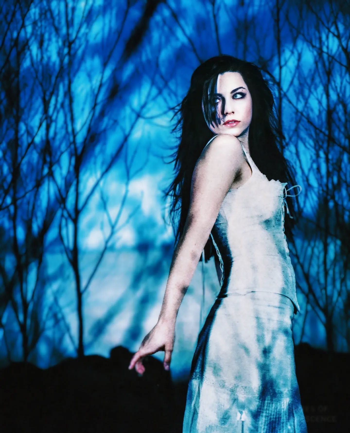 amy fallen