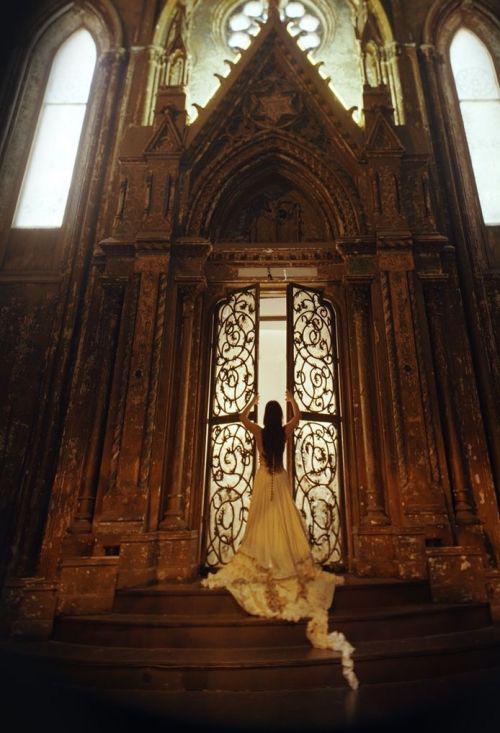 amy lee the open door